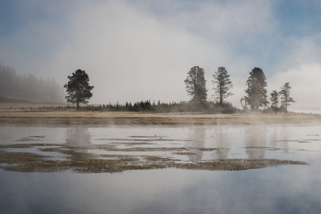 Yellowstone National Park in the morning