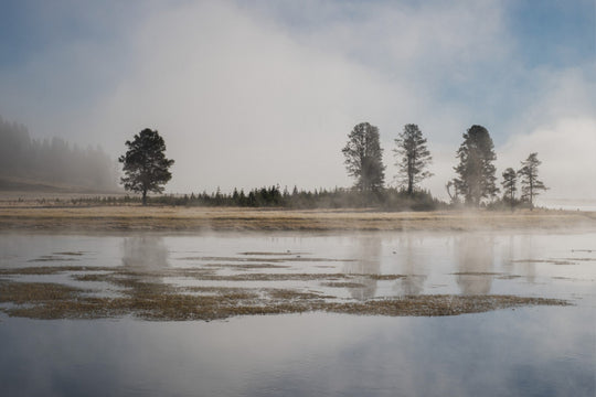 Yellowstone National Park in the morning