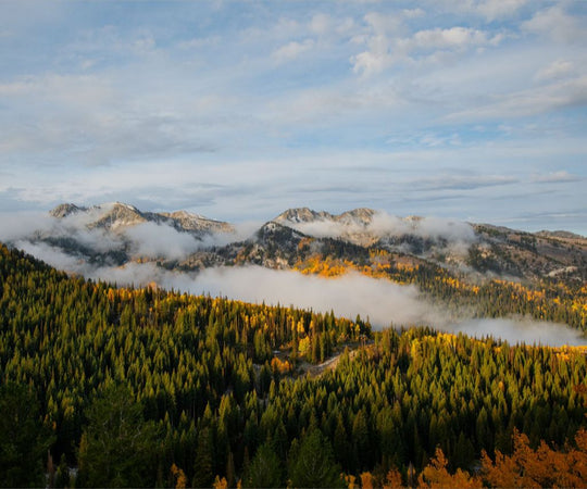 Misty Mountains Horizontal