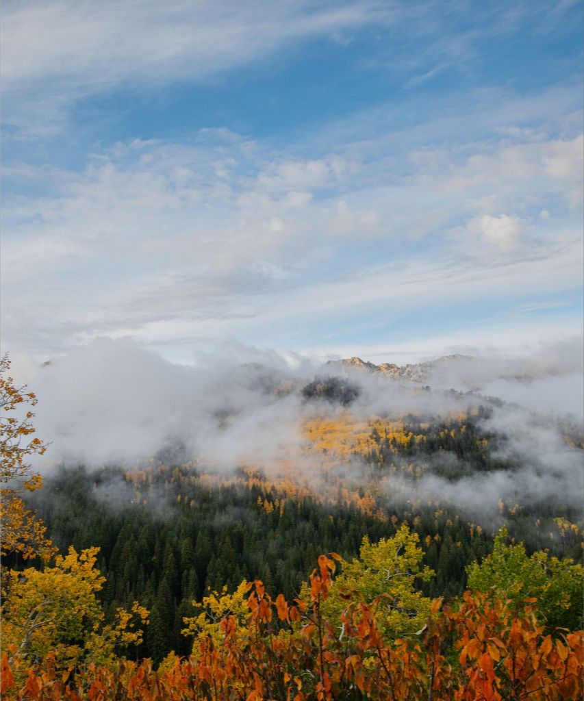 Misty Mountains Vertical