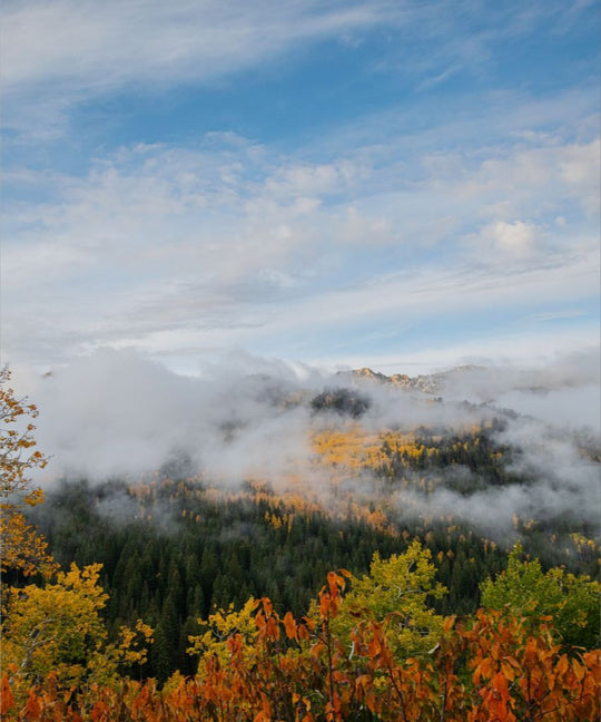 Misty Mountains Vertical