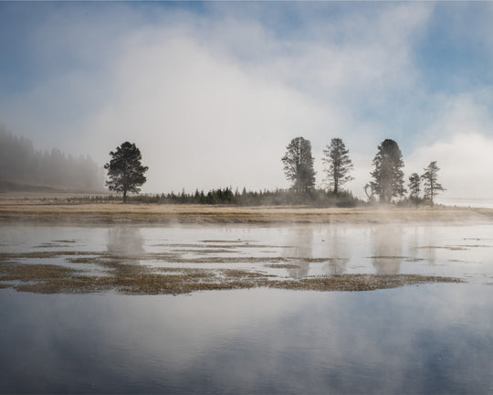 Yellowstone National Park in the morning