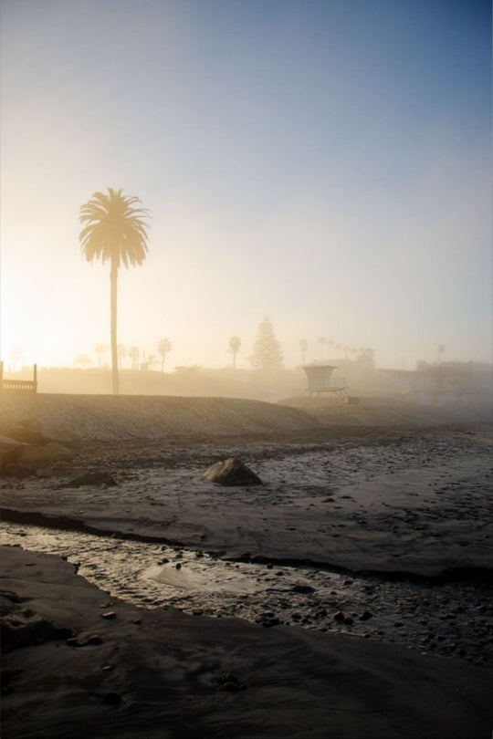 Moonlight Beach at Sunrise - San Diego