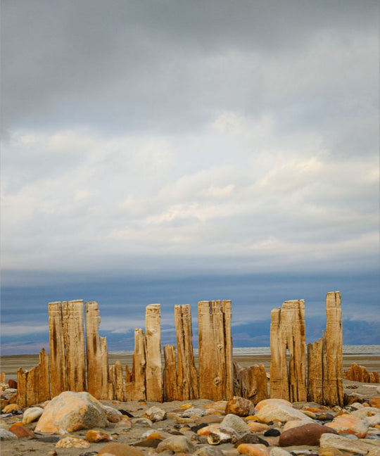 Piles at shores edge, The Great Salt Lake