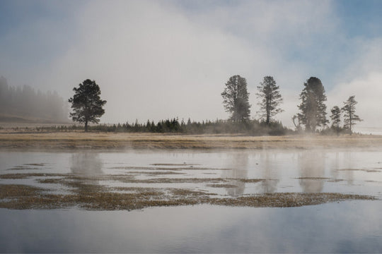Yellowstone National Park in the morning