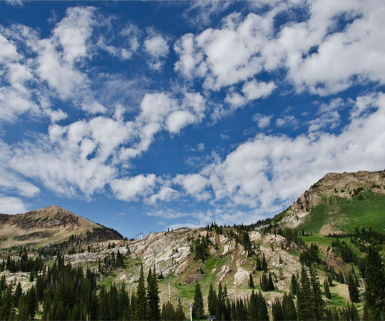 Summer on the Slopes