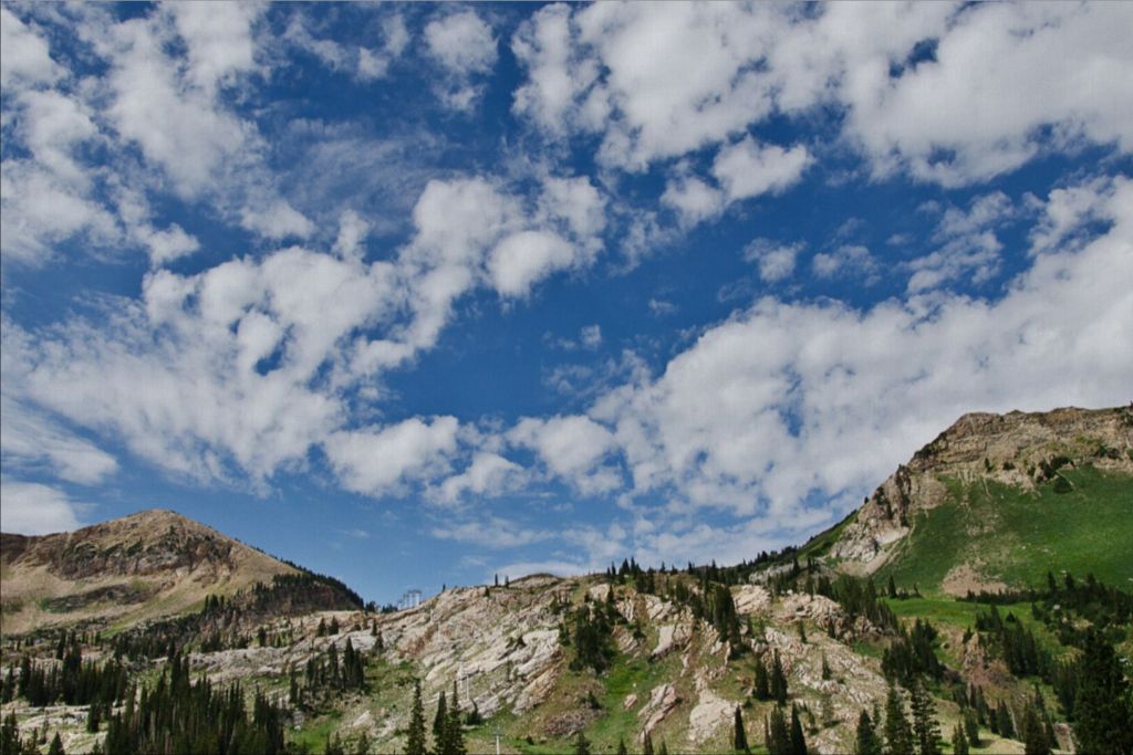 Summer on the Slopes