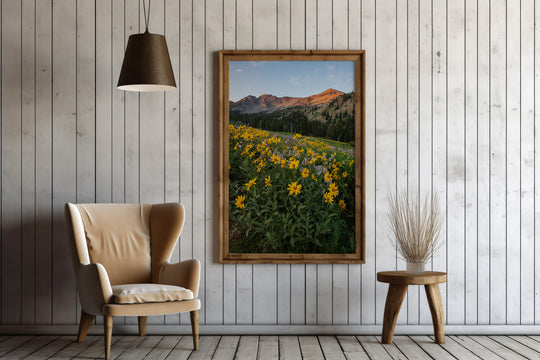 Albion Basin at Sunrise - Utah Landscape