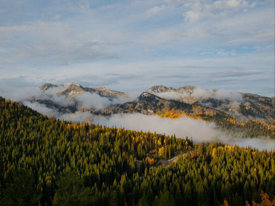 Misty Mountains Horizontal