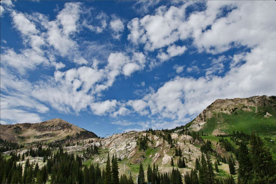 Summer on the Slopes
