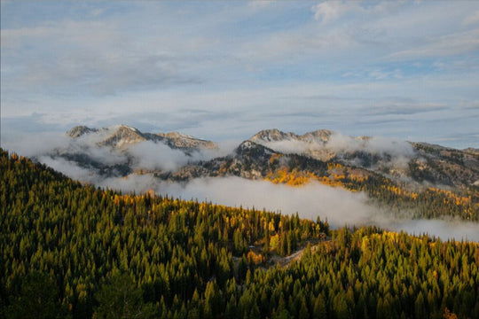 Misty Mountains Horizontal