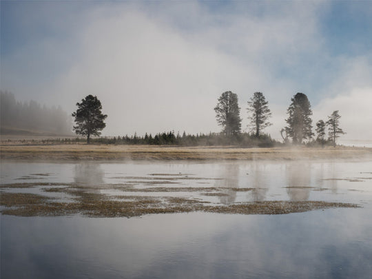Yellowstone National Park in the morning
