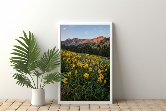 Albion Basin at Sunrise - Utah Landscape