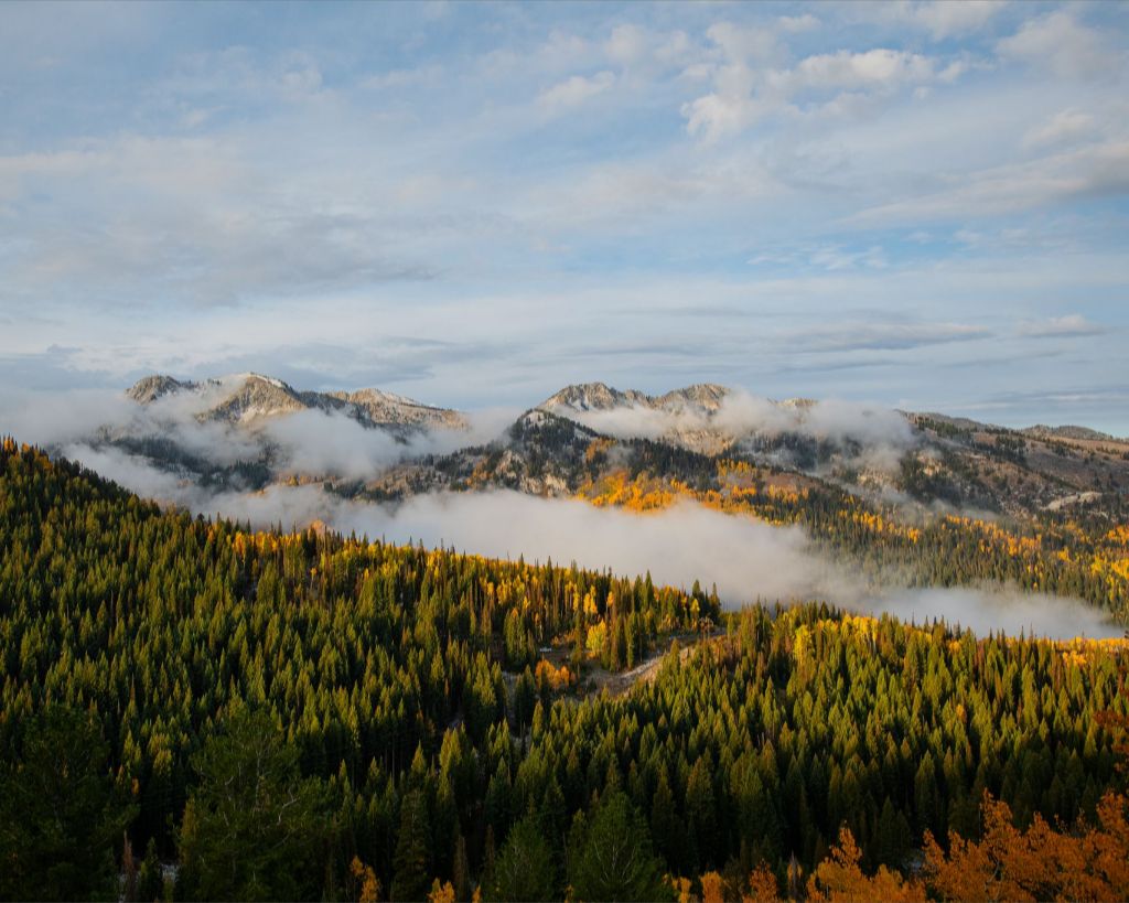 Misty Mountains Horizontal