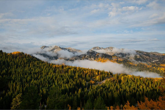 Misty Mountains Horizontal
