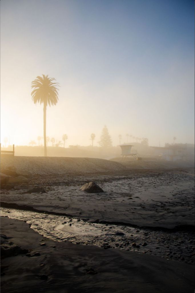 Moonlight Beach at Sunrise - San Diego