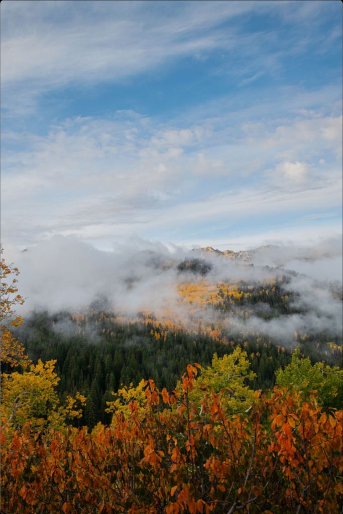 Misty Mountains Vertical