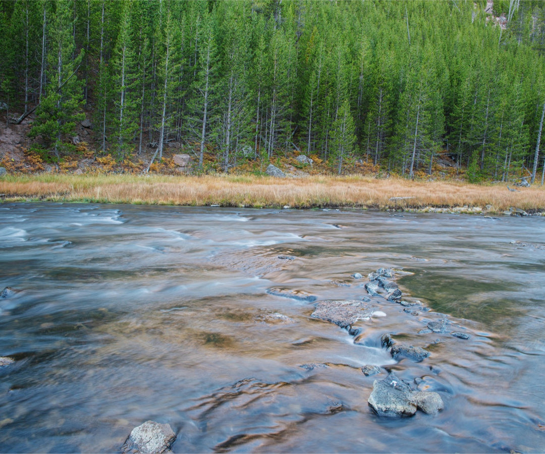 Yellowstone River
