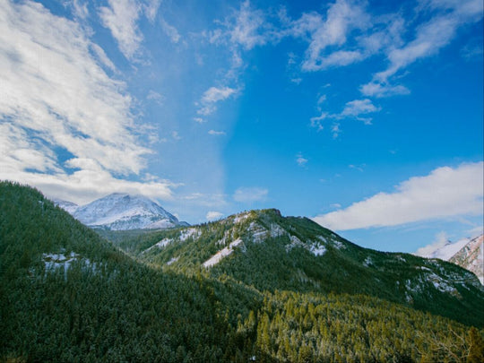 Winter in the Mountains
