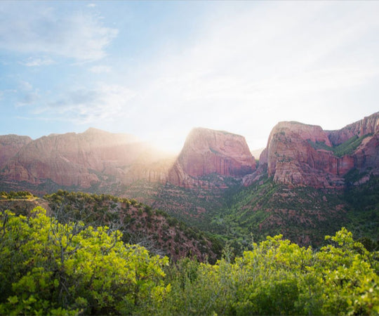 Kolob at Sunrise - Zions National Park