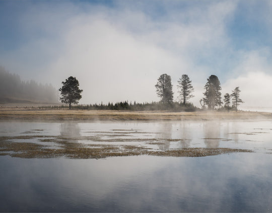 Yellowstone National Park in the morning