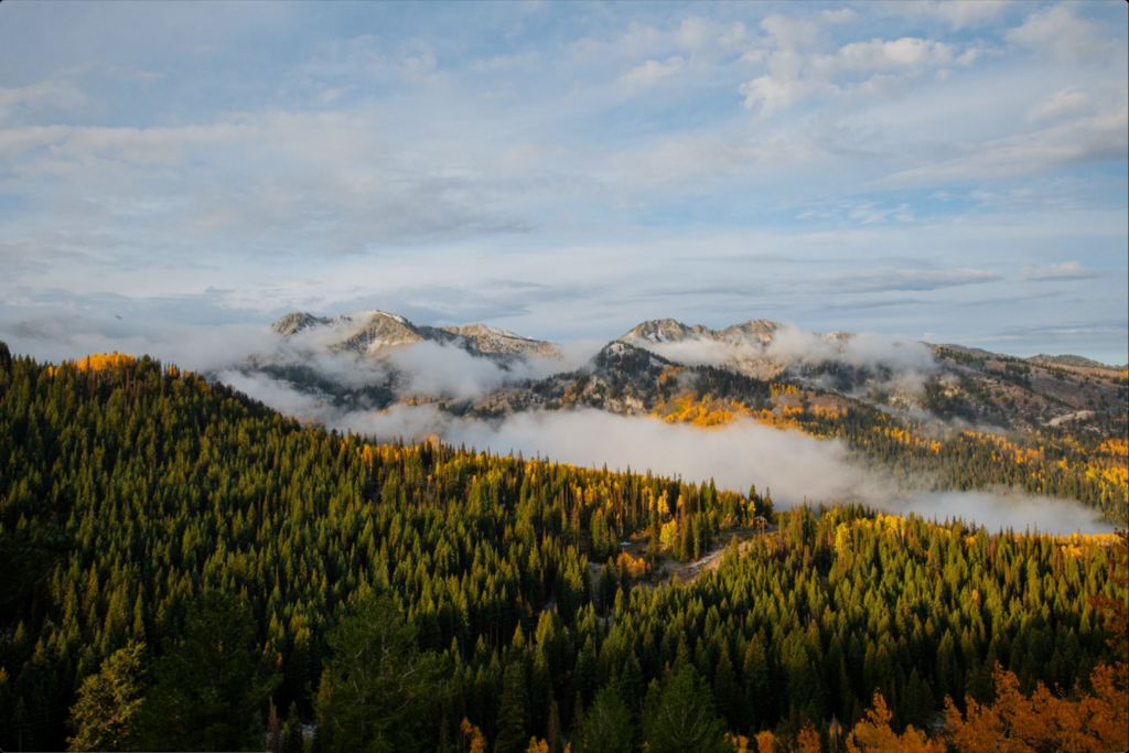 Misty Mountains Horizontal
