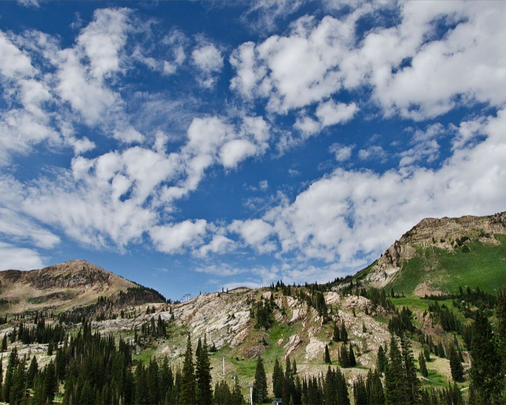 Summer on the Slopes