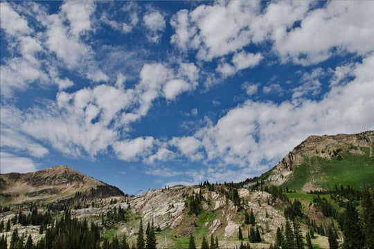 Summer on the Slopes