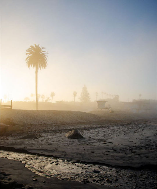 Moonlight Beach at Sunrise - San Diego