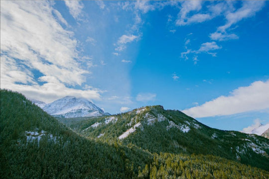 Winter in the Mountains