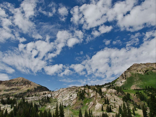 Summer on the Slopes