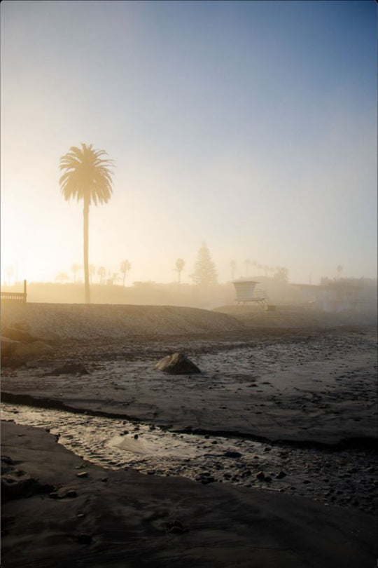 Moonlight Beach at Sunrise - San Diego