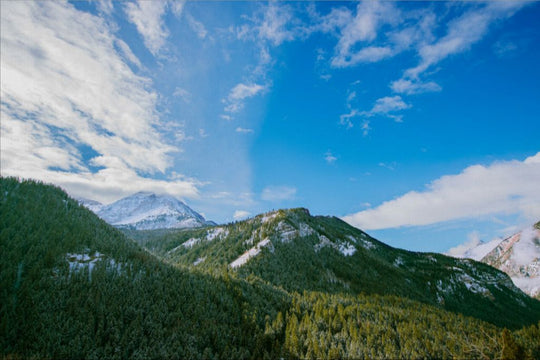 Winter in the Mountains