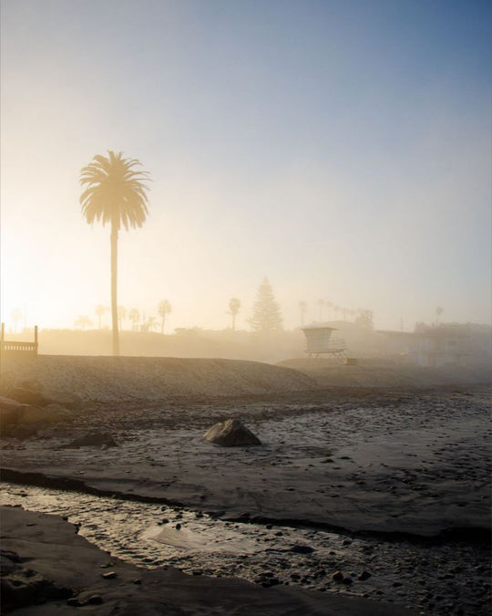 Moonlight Beach at Sunrise - San Diego