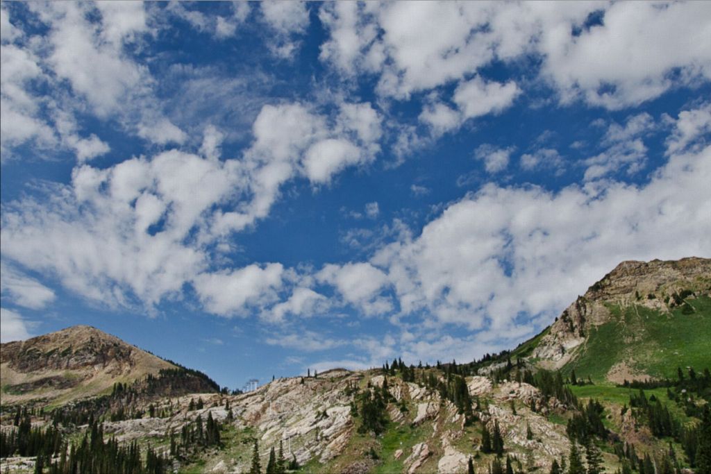 Summer on the Slopes