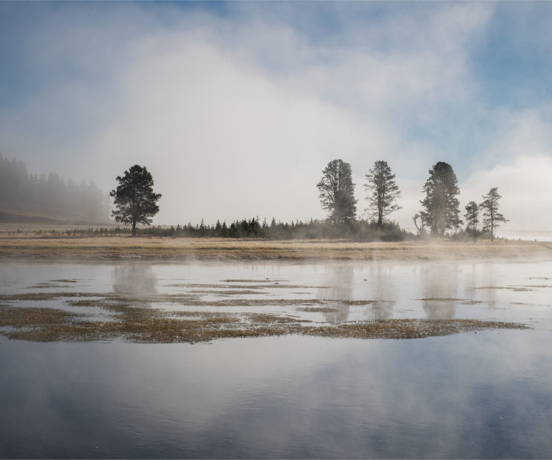 Yellowstone National Park in the morning