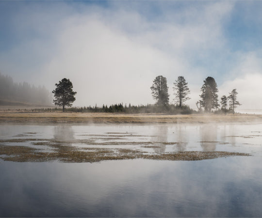 Yellowstone National Park in the morning