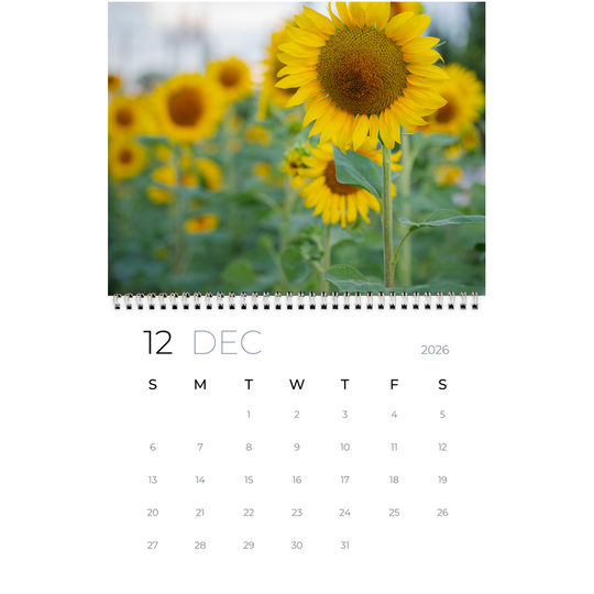 generated-preview-14