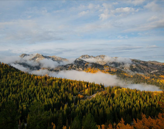Misty Mountains Horizontal