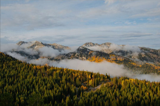 Misty Mountains Horizontal