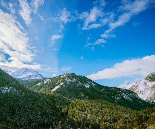 Winter in the Mountains