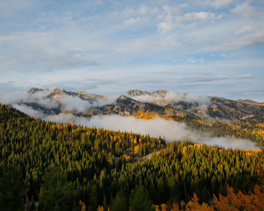 Misty Mountains Horizontal