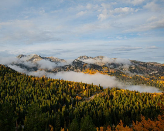 Misty Mountains Horizontal