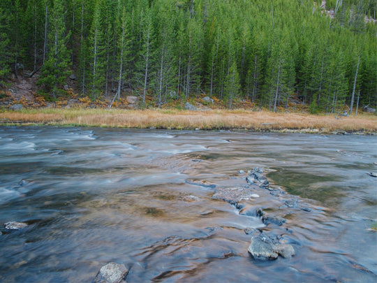 Yellowstone River