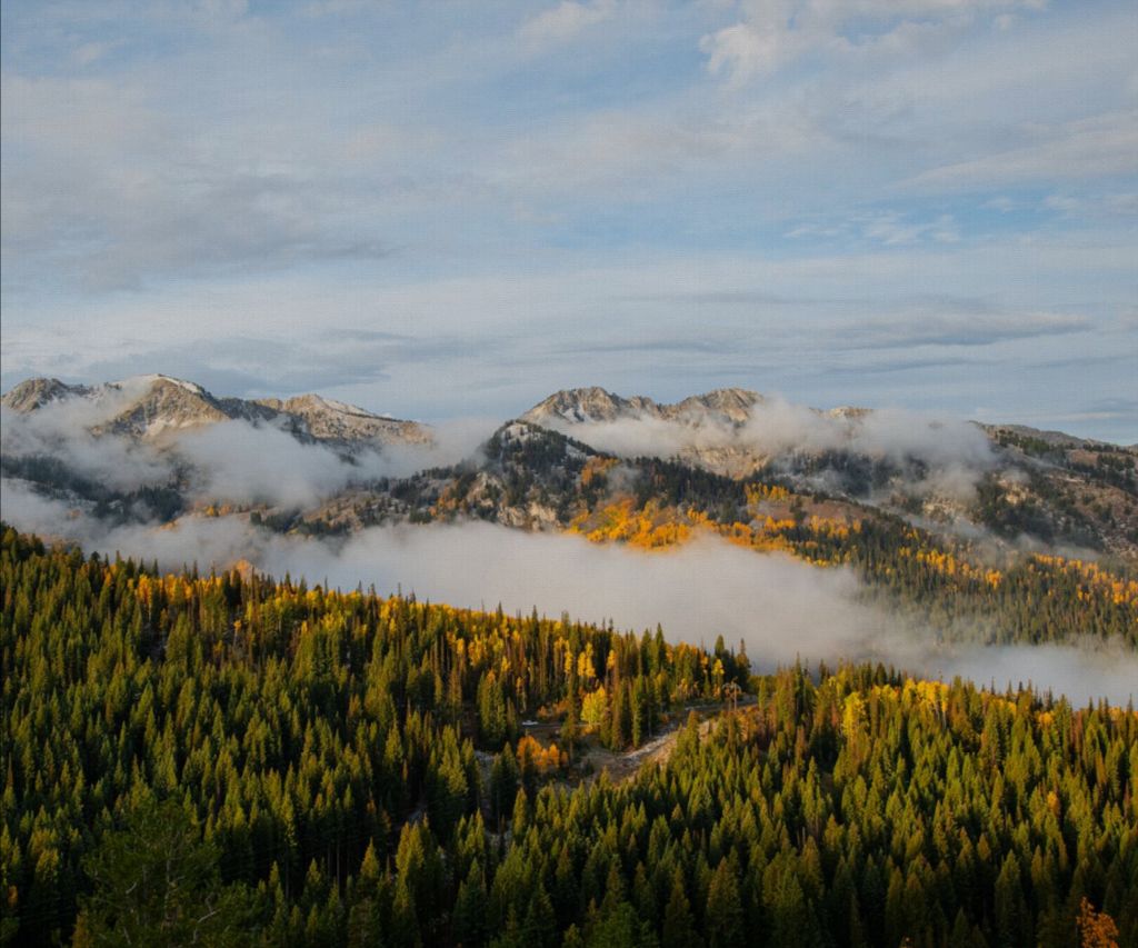 Misty Mountains Horizontal