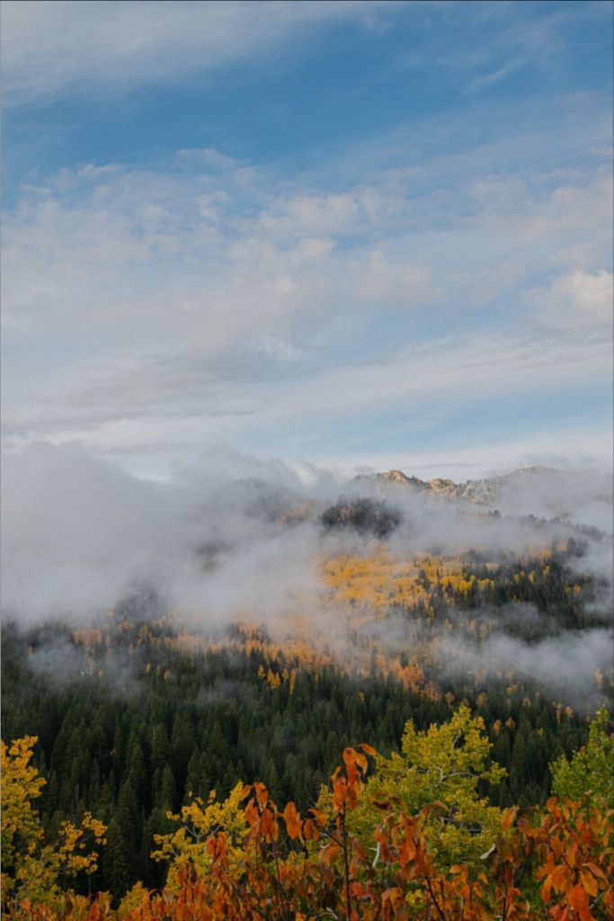 Misty Mountains Vertical