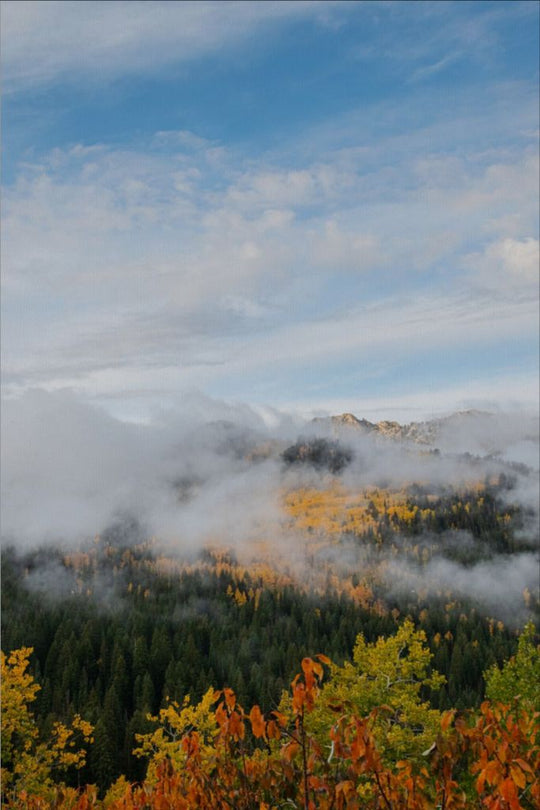 Misty Mountains Vertical