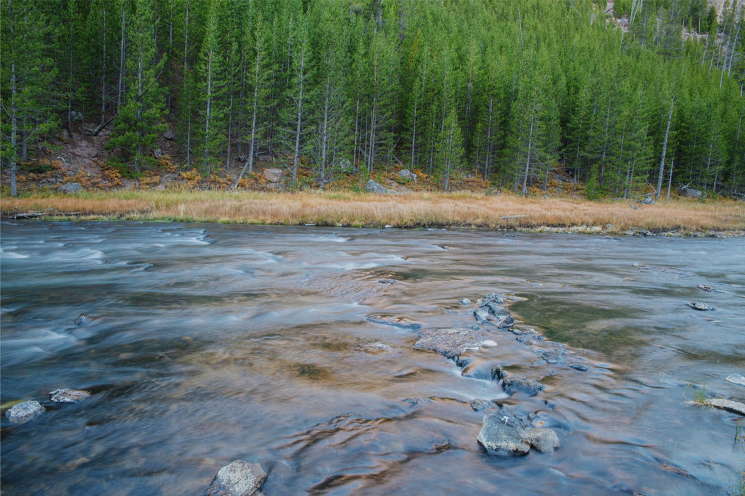 Yellowstone River