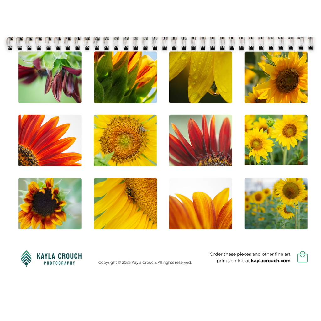 generated-preview-15