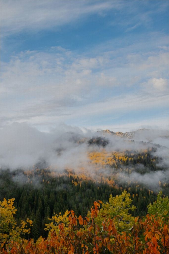 Misty Mountains Vertical